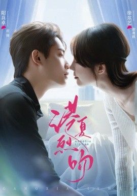 港夏烈吻封面图