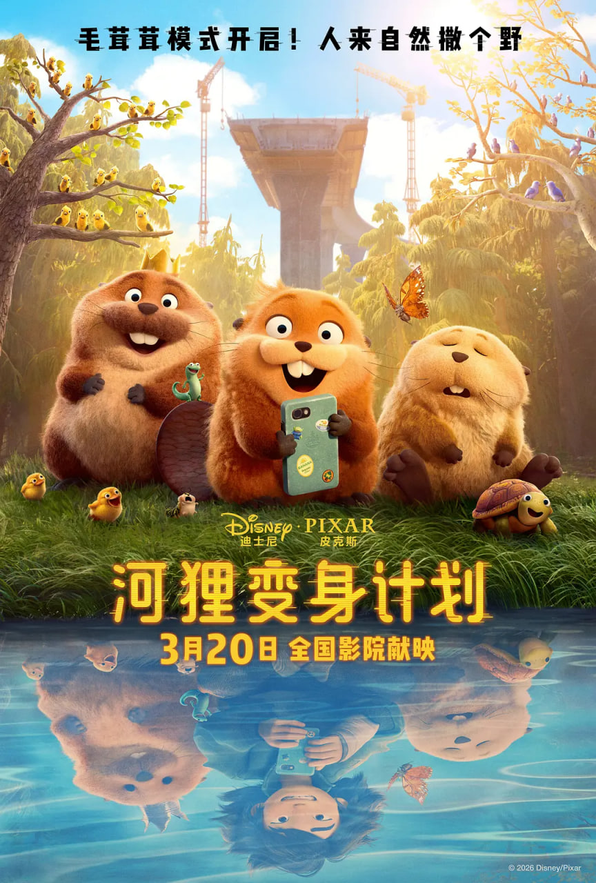 河狸变身计划 国语版封面图