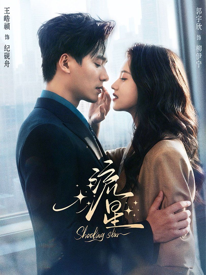 流星（2026）封面图