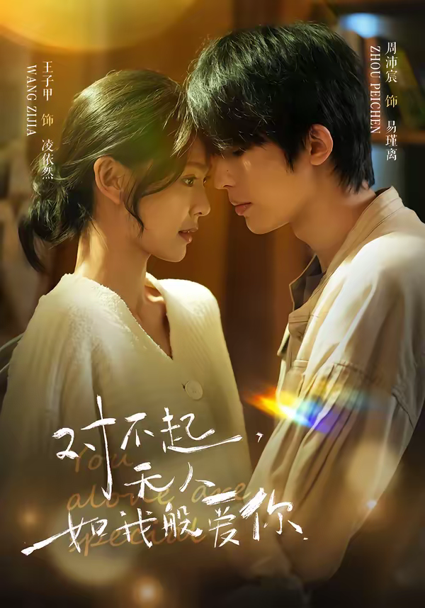 对不起，无人如我般爱你封面图