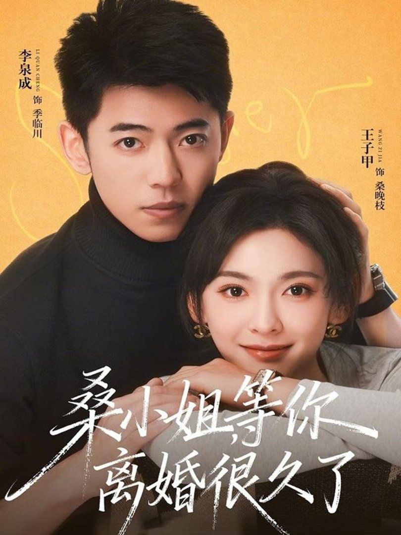 桑小姐，等你离婚很久了封面图