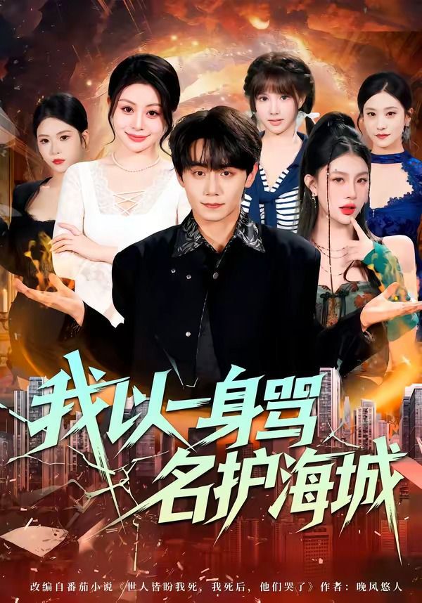 我以一身骂名护海城封面图