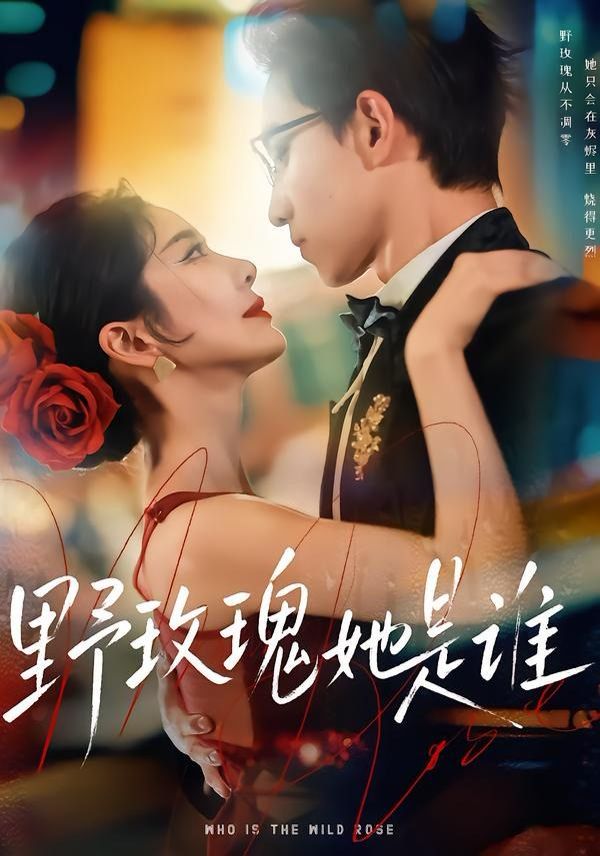 野玫瑰她是谁封面图