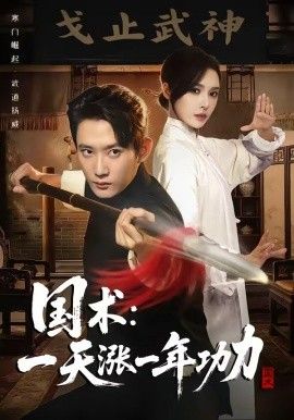 国术，一天涨一年功力封面图