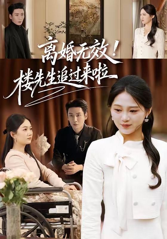 离婚无效！楼先生追过来啦封面图